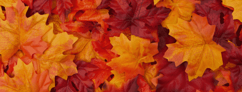 autumn printable