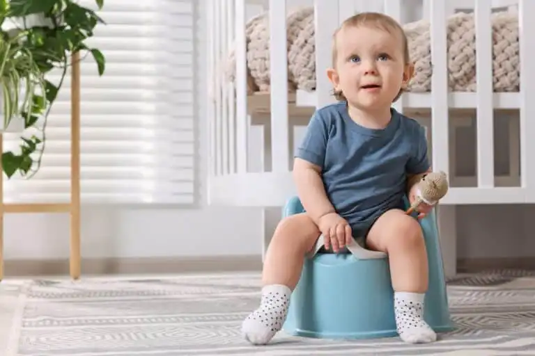 Toddler sitting on a potty training toilet