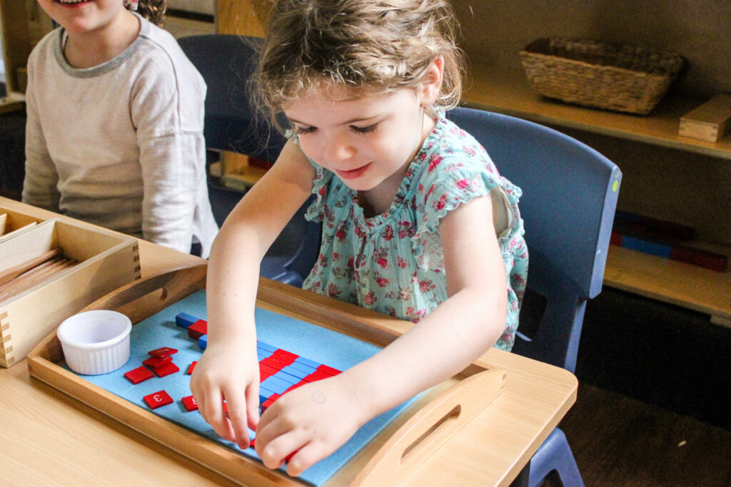 Settling Into The Montessori Environment: Stages of Normalisation