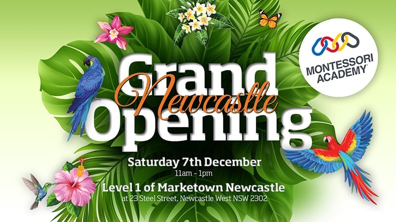 Newcastle Child Care Family Fun Day