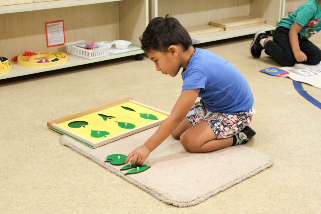 Material Spotlight: Montessori Leaf Cabinet & Botany Cabinet