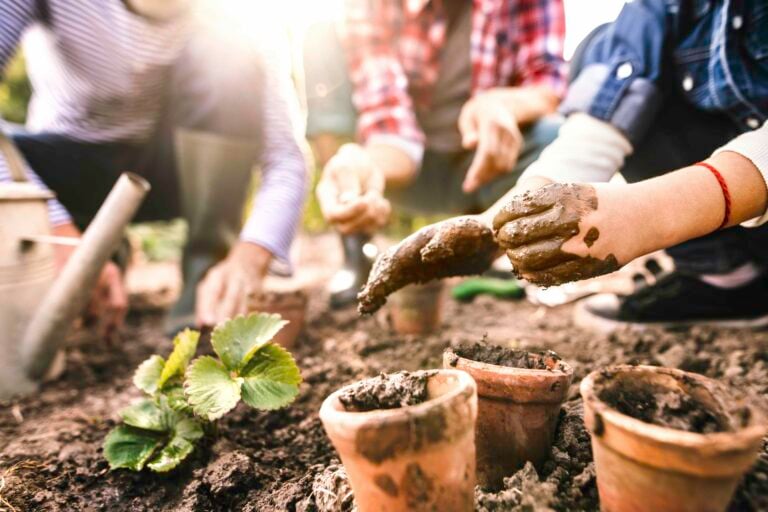 Children transferring potted plants to a garden.