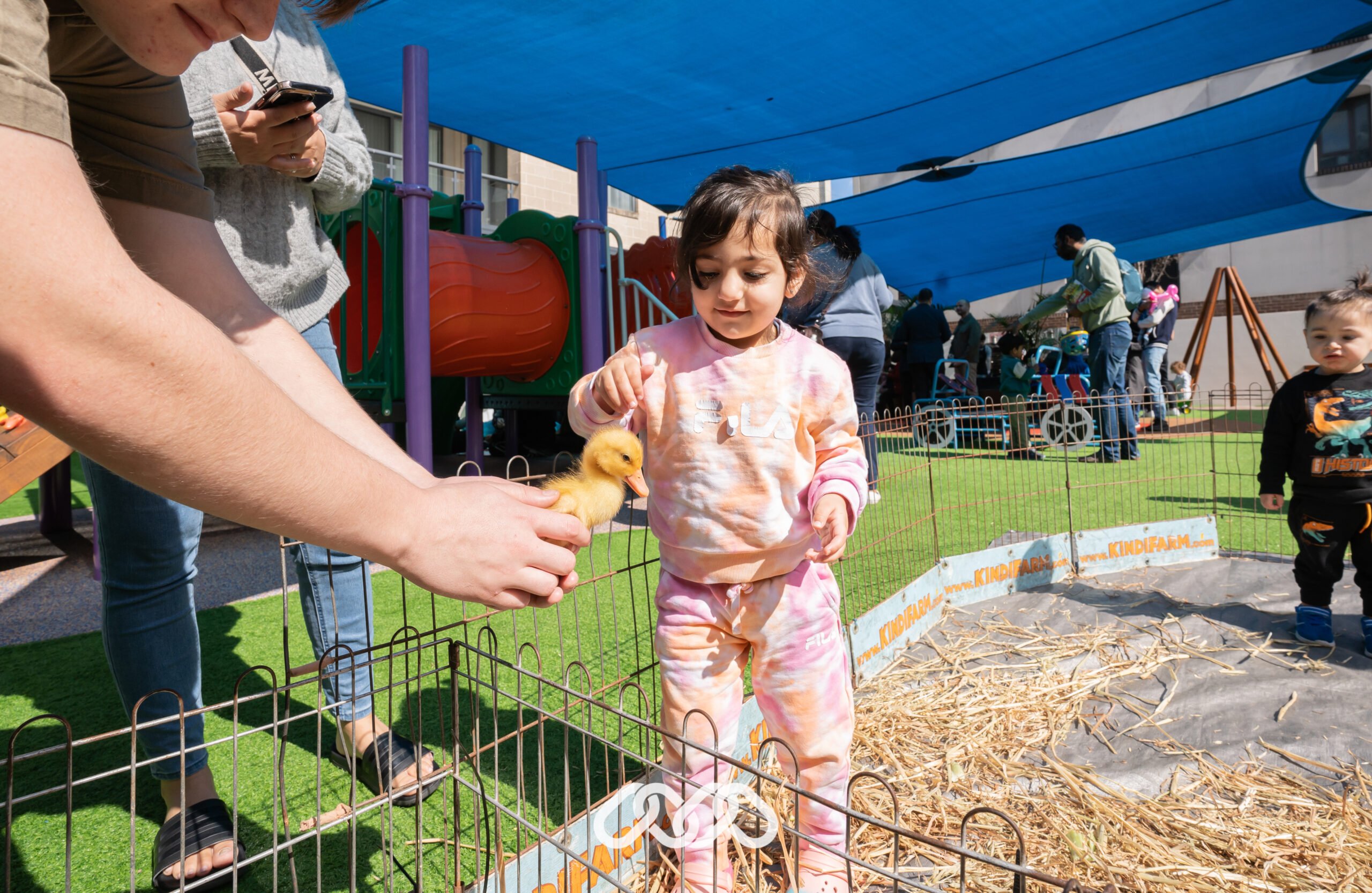 Child pets duck at a petting zoo at Entrada Montessori Academy open day