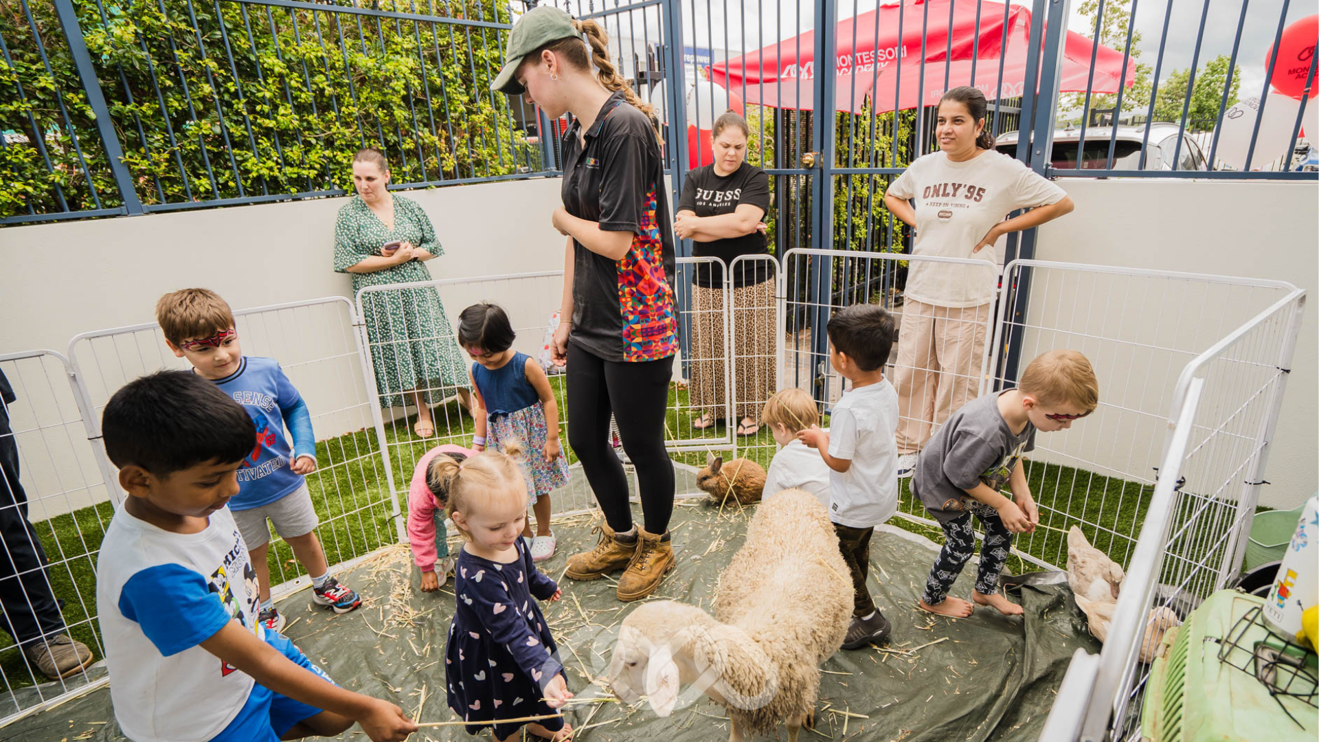 Families and children interacting with animals at the petting zoo during the Gregory Hills Childcare Grand Opening in Gregory Hills NSW.
