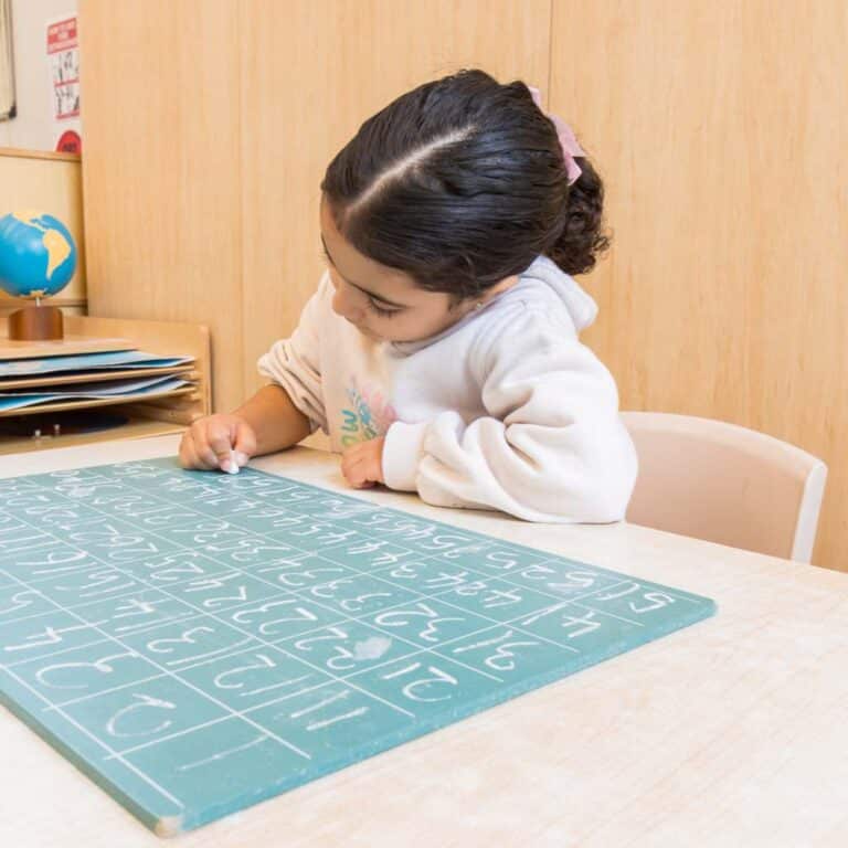 Entrada Parramatta Montessori Childcare, Preschool, Early Learning Centre Parramatta NSW 2150 (20)