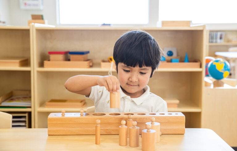 Montessori Materials Cylinder Blocks