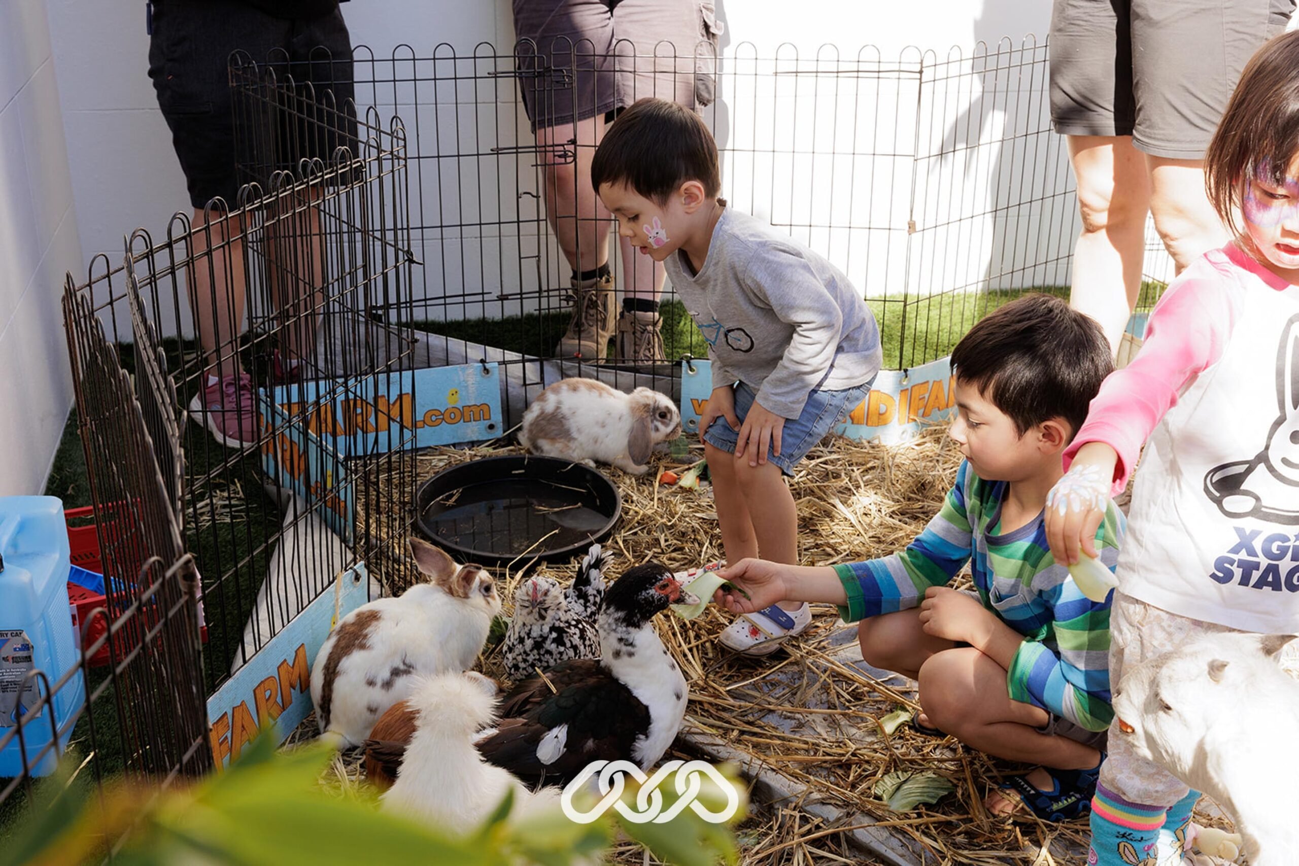 Children interact with rabbits and chickens at Hurstville Montessori Academy grand opening