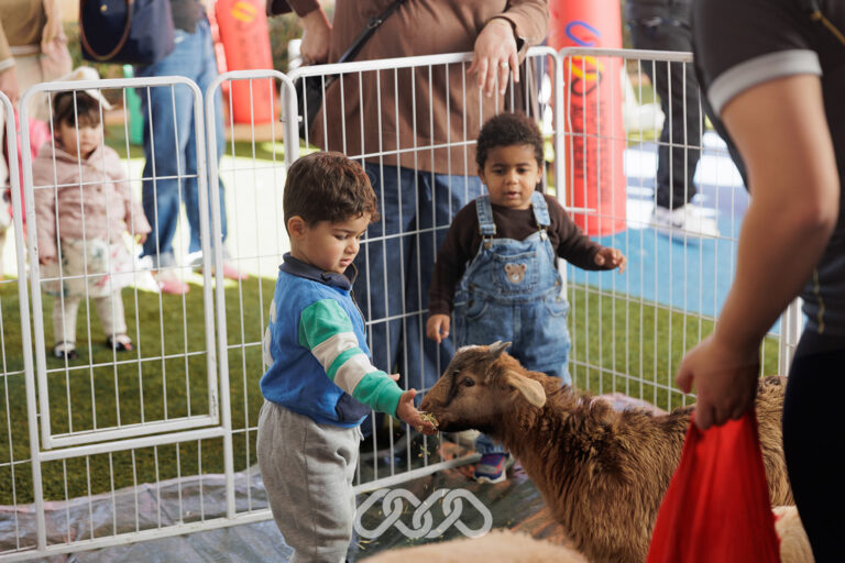 Children meeting farm animals at Mount Pritchard Montessori Academy.