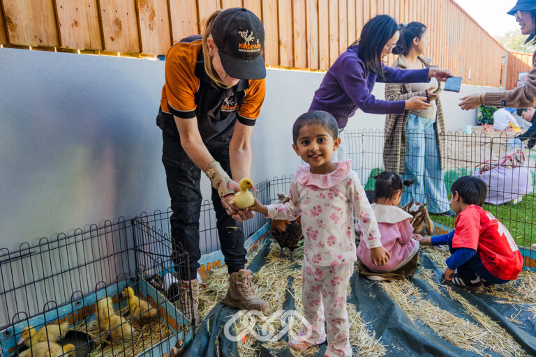 Child enjoying Blacktown Grand Opening animal farm